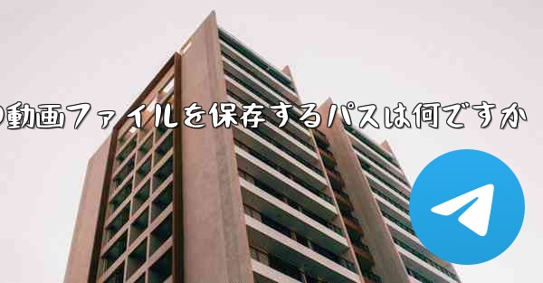 紙飛行機の動画ファイルを保存するパスは何ですか