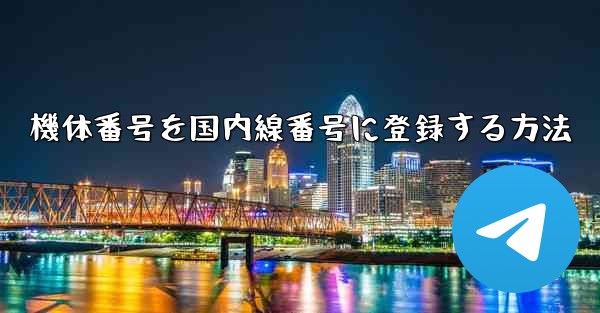 機体番号を国内線番号に登録する方法