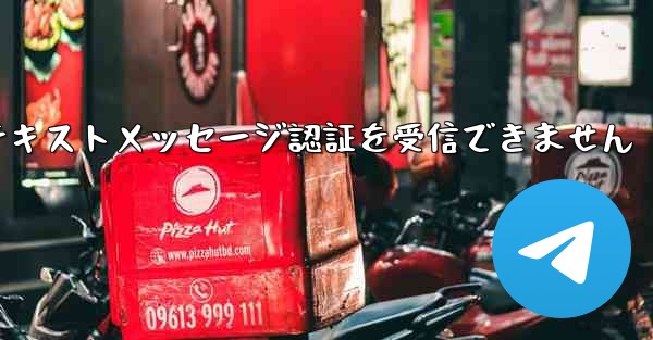 紙飛行機は海外のテキストメッセージ認証を受信できません