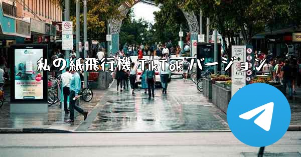 私の紙飛行機 TikTok バージョン