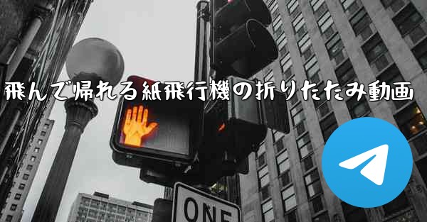 飛んで帰れる紙飛行機の折りたたみ動画