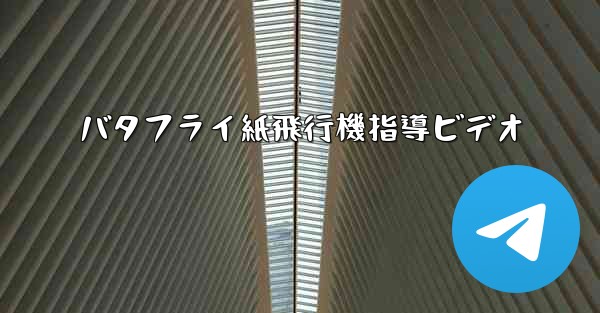 バタフライ紙飛行機指導ビデオ