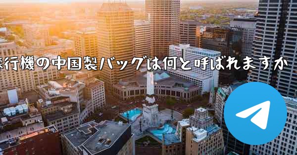 紙飛行機の中国製バッグは何と呼ばれますか