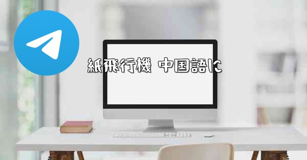 紙飛行機 中国語に