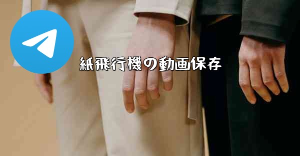 紙飛行機の動画保存