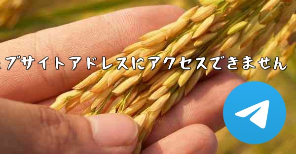 紙飛行機のウェブサイトアドレスにアクセスできません