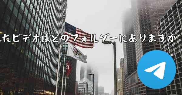 Paper Plane でキャッシュされたビデオはどのフォルダーにありますか