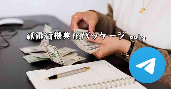 紙飛行機美化パッケージ pubg