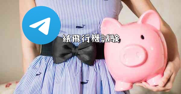 紙飛行機試験