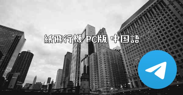 紙飛行機 PC版 中国語
