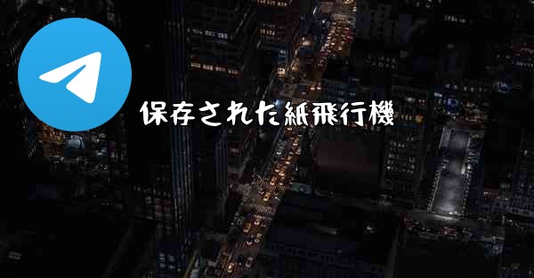 保存された紙飛行機