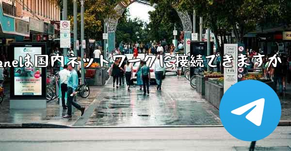 Paper Planeは国内ネットワークに接続できますか