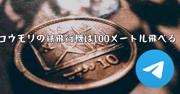 コウモリの紙飛行機は100メートル飛べる