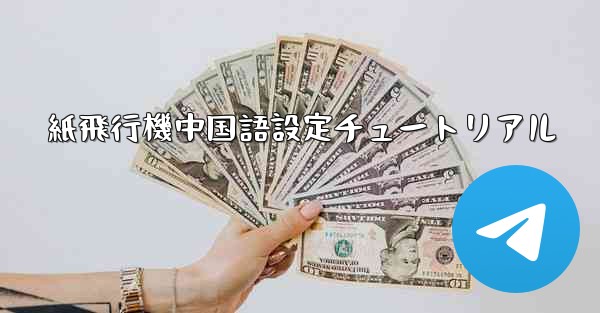 紙飛行機中国語設定チュートリアル