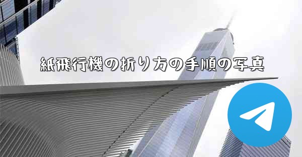 紙飛行機の折り方の手順の写真