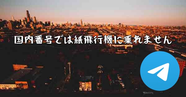 国内番号では紙飛行機に乗れません