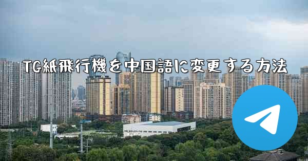 TG紙飛行機を中国語に変更する方法