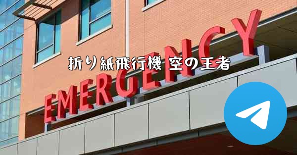 折り紙飛行機 空の王者