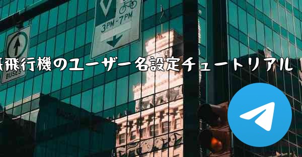 紙飛行機のユーザー名設定チュートリアル